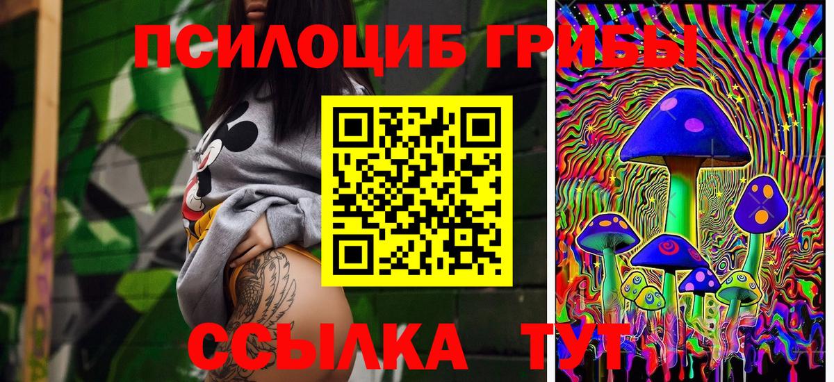 Тара  Псилоцибиновые грибы мицелий  Вход с VPN 