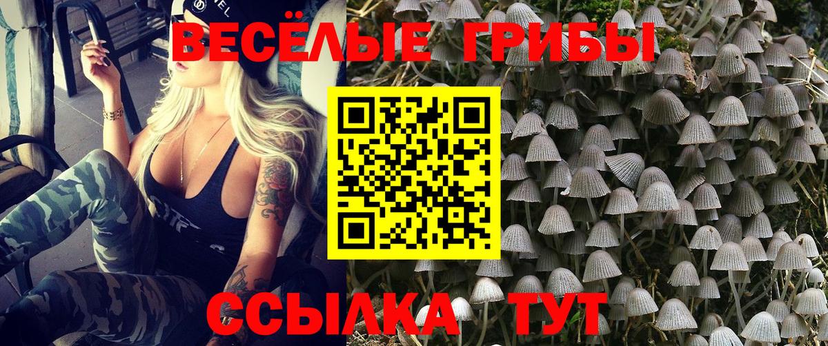 Галлюциногенные грибы GOLDEN TEACHER Тара